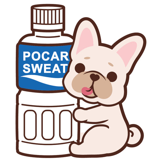 Frenchie Stickers-Pocari 法鬥貼紙-寶礦力