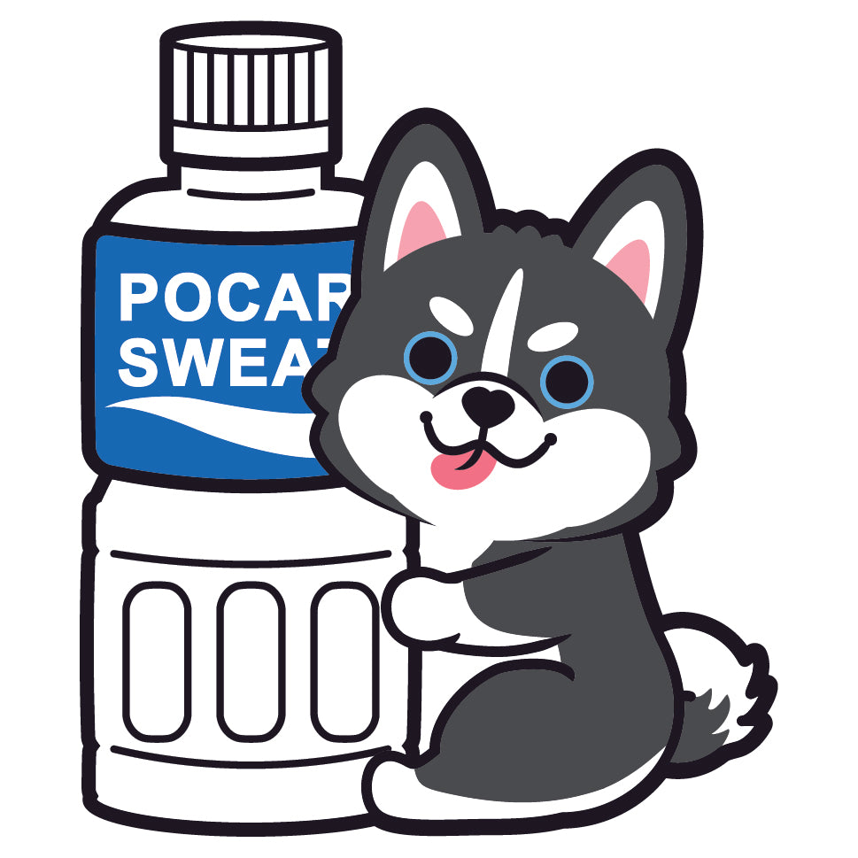 Husky Stickers-Pocari 雪橇狗貼紙-寶礦力
