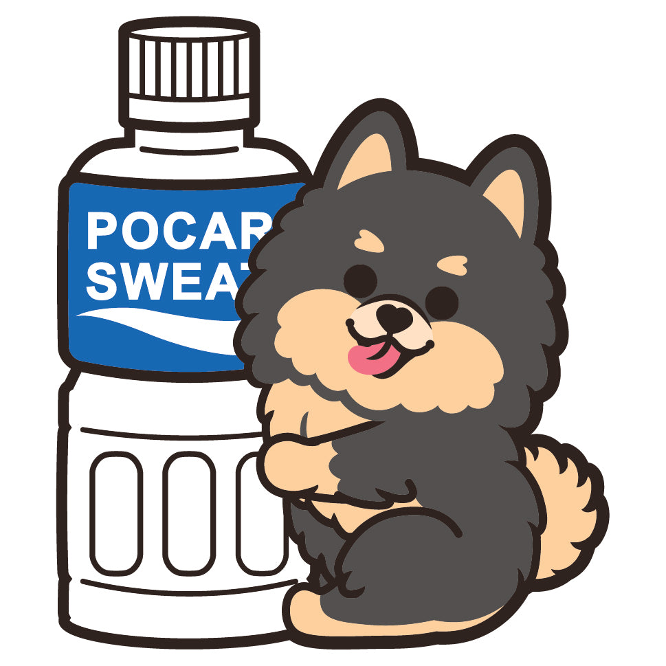 Pomeranian Stickers-Pocari 松鼠狗貼紙-寶礦力