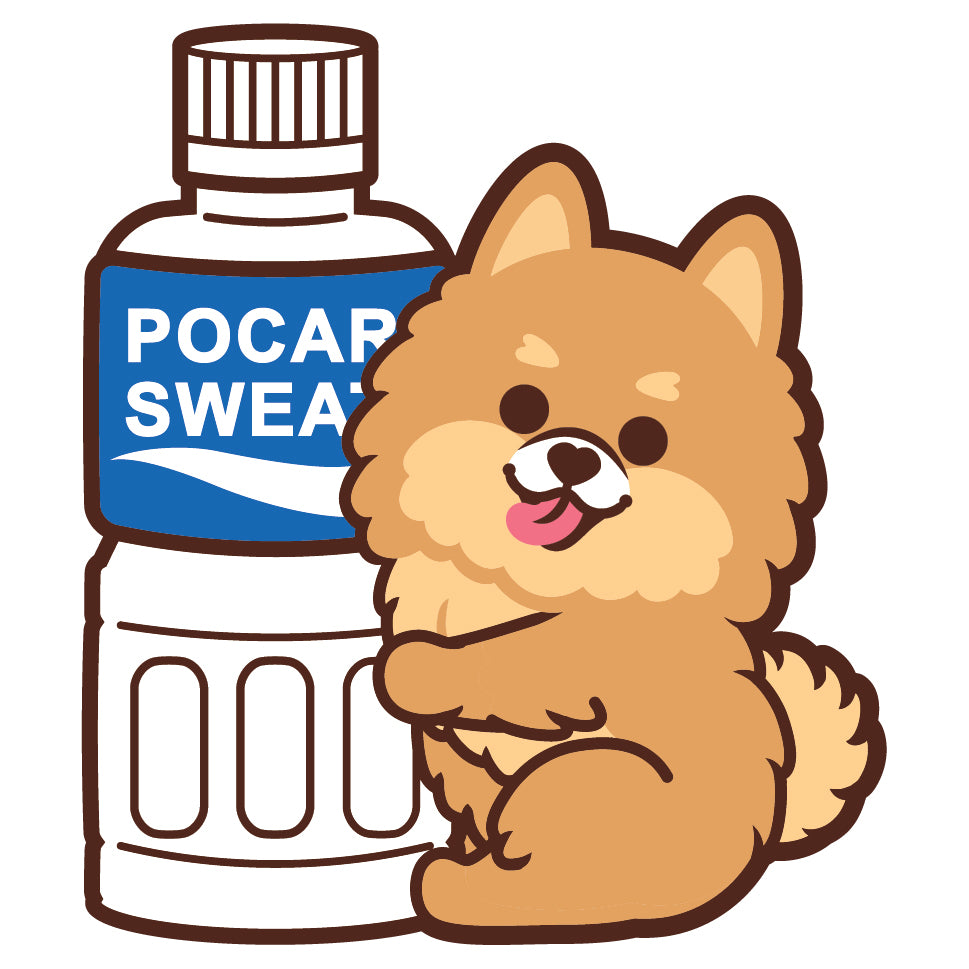 Pomeranian Stickers-Pocari 松鼠狗貼紙-寶礦力