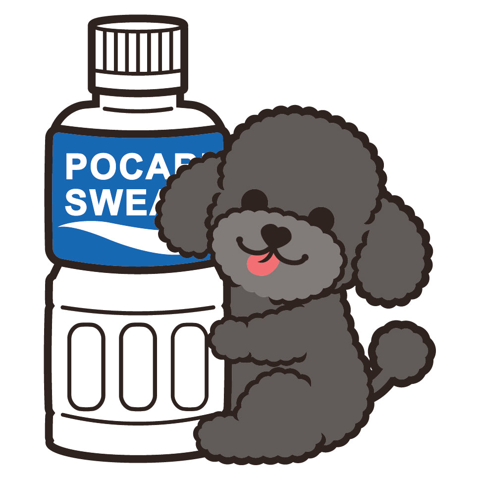 Poodle Stickers-Pocari 貴婦狗貼紙-寶礦力