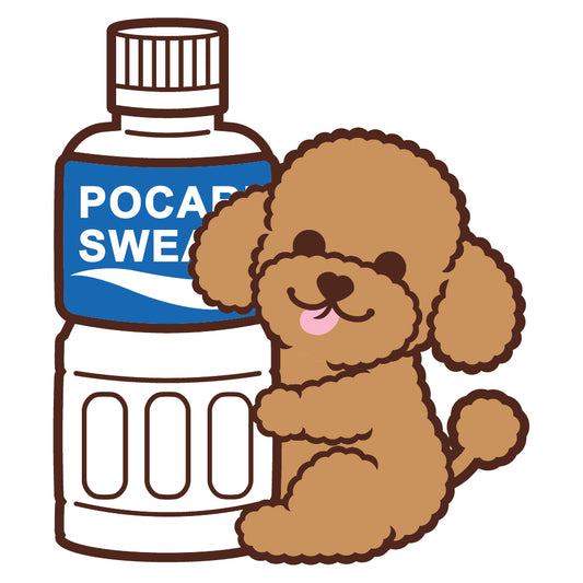 Poodle Stickers-Pocari 貴婦狗貼紙-寶礦力