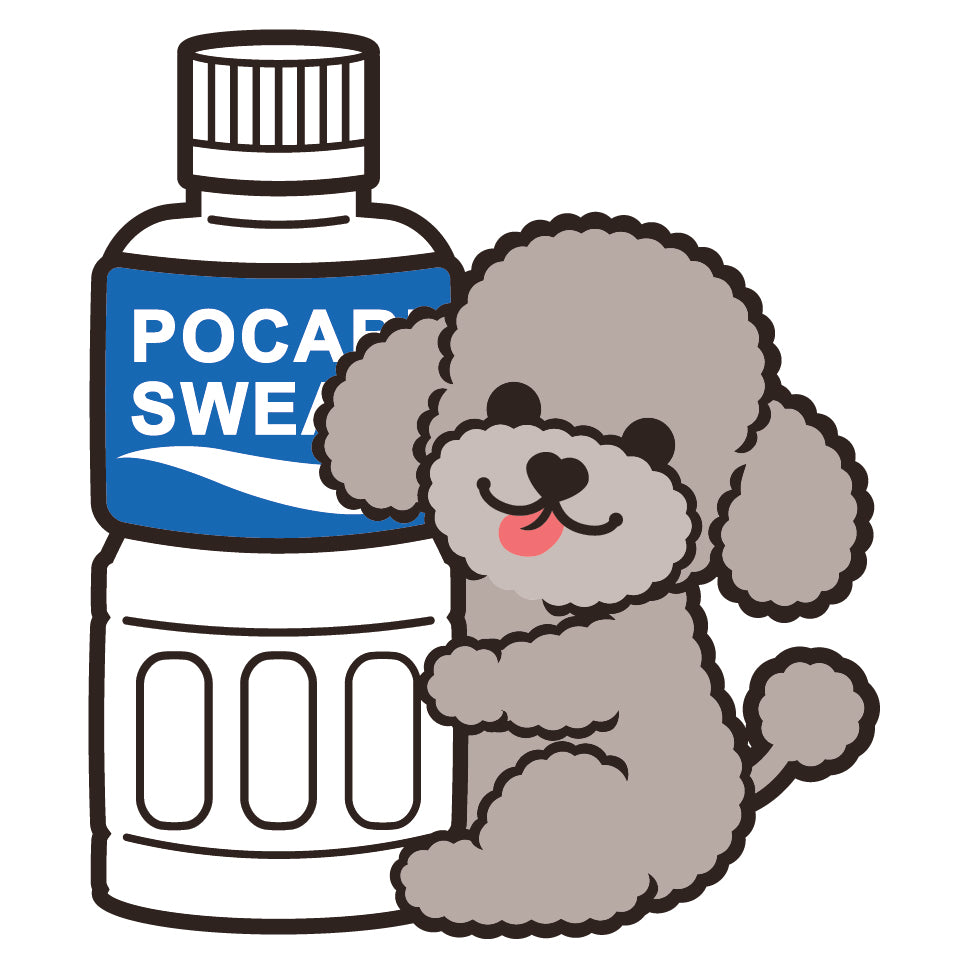 Poodle Stickers-Pocari 貴婦狗貼紙-寶礦力