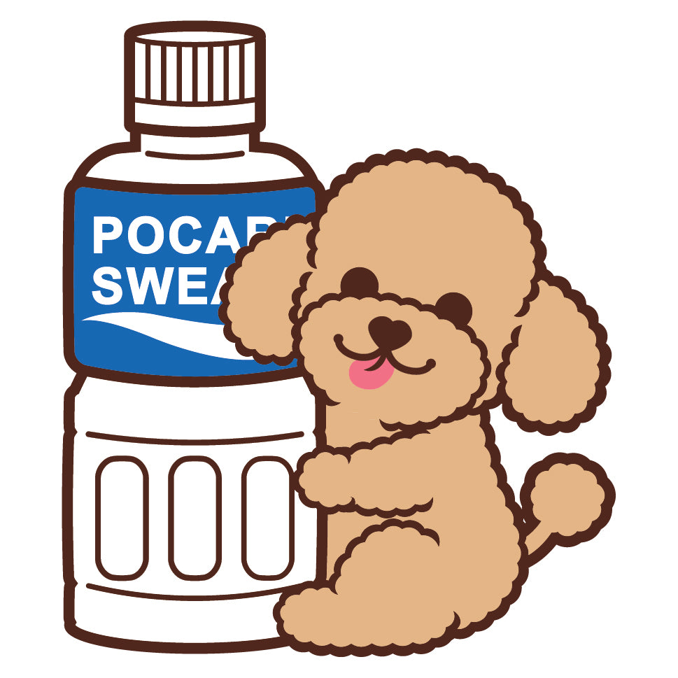 Poodle Stickers-Pocari 貴婦狗貼紙-寶礦力
