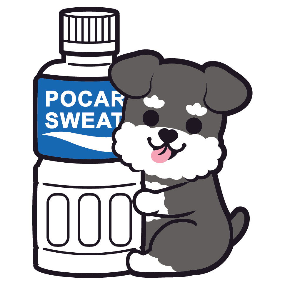 Schnauzer Stickers-Pocari 史納莎貼紙-寶礦力