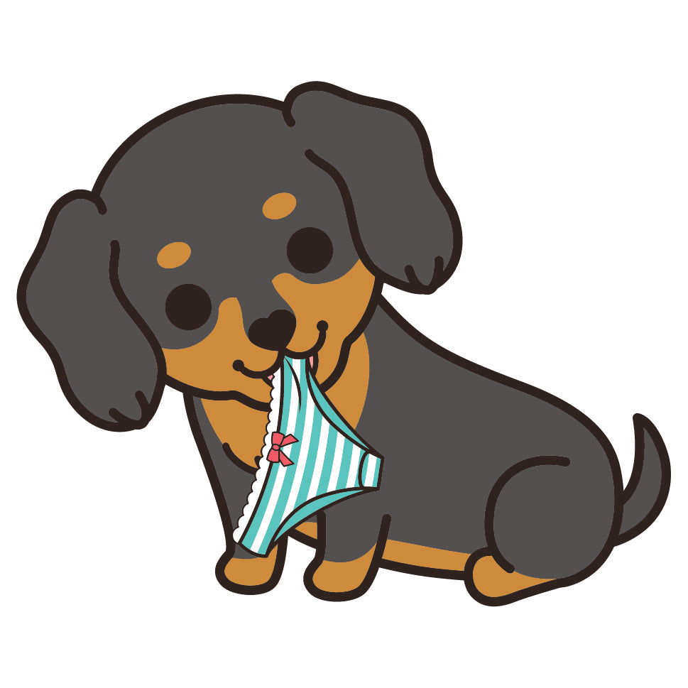 Dachshund Stickers-Panties 臘腸狗貼紙-偷底褲
