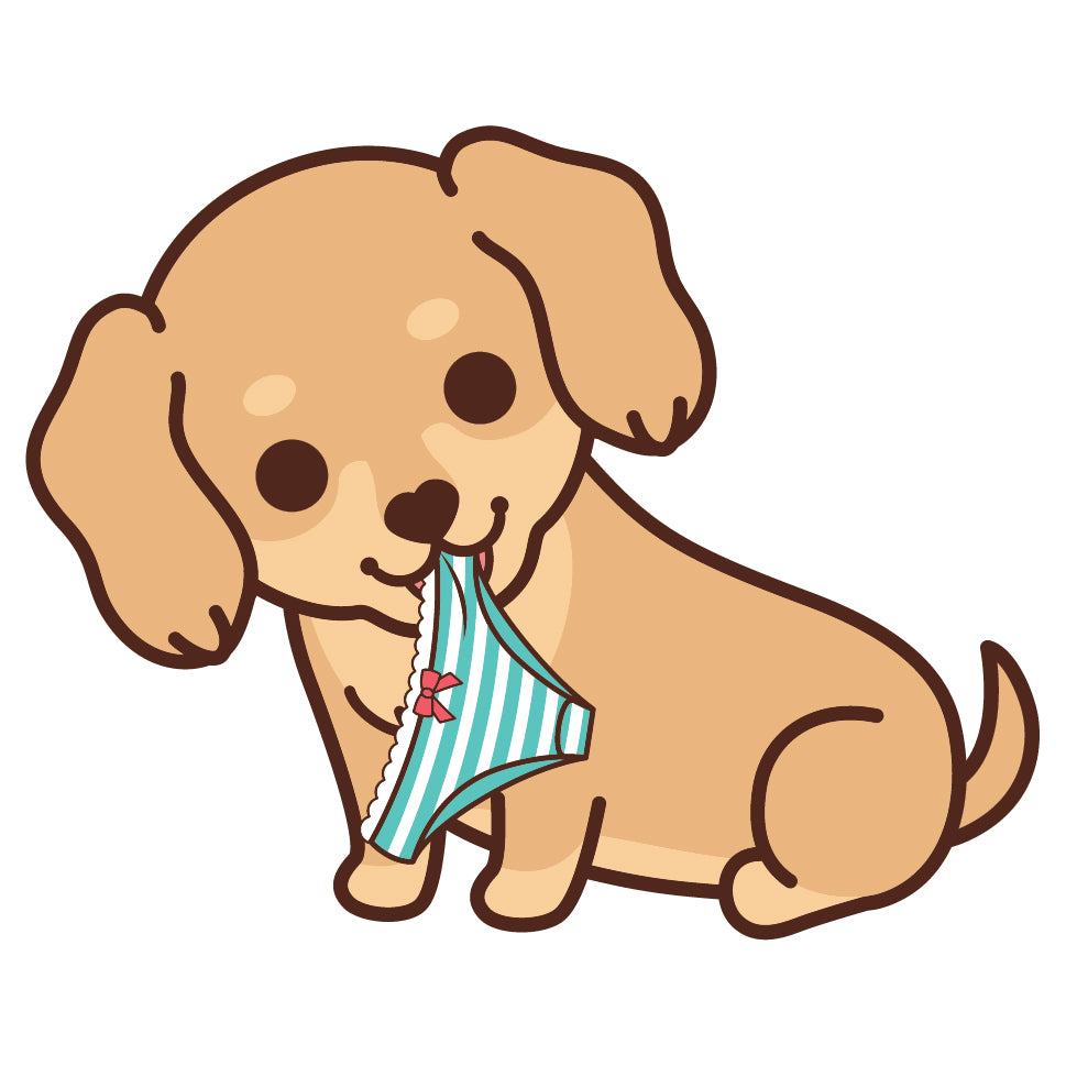 Dachshund Stickers-Panties 臘腸狗貼紙-偷底褲