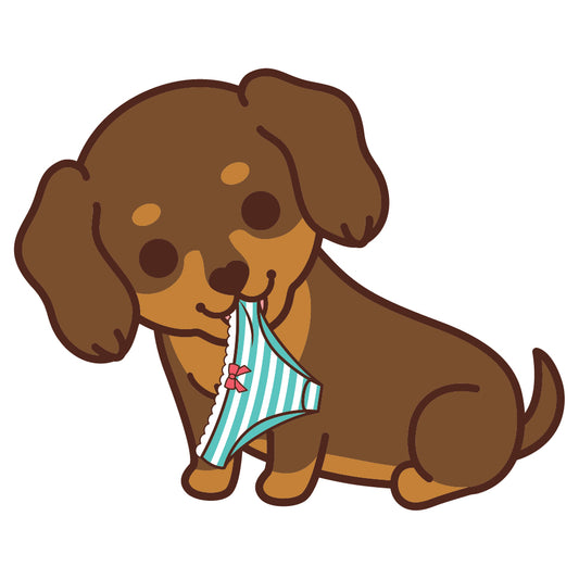 Dachshund Stickers-Panties 臘腸狗貼紙-偷底褲