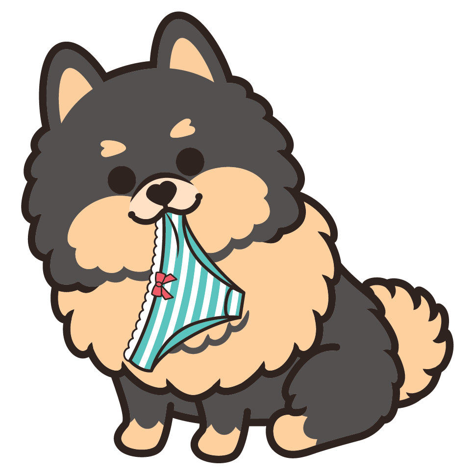 Pomeranian Stickers-Panties 松鼠狗貼紙-偷底褲
