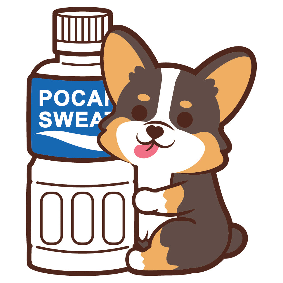 Corgi Stickers-Pocari 哥基貼紙-寶礦力