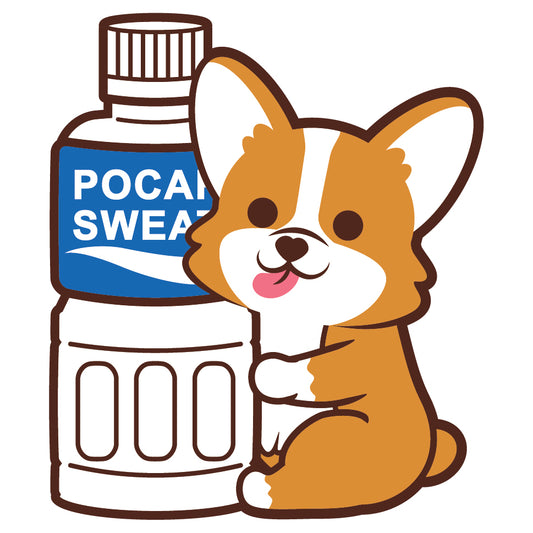 Corgi Stickers-Pocari 哥基貼紙-寶礦力