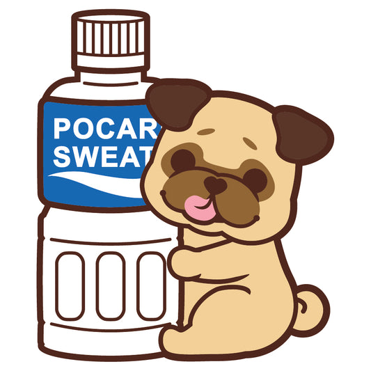 Pug Stickers-Pocari 八哥貼紙-寶礦力